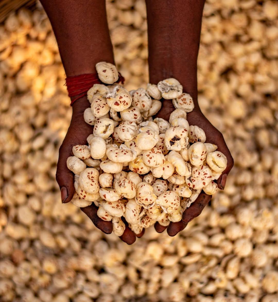 Why Makhana Is a Smart Snack for Weight Management and Active Lifestyles