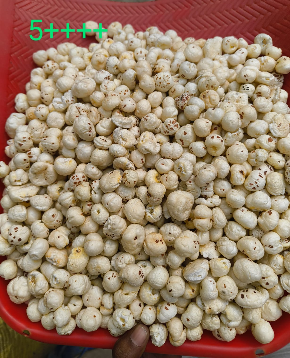 Top Makhana Manufacturers in Bihar | Premium B2B Supply