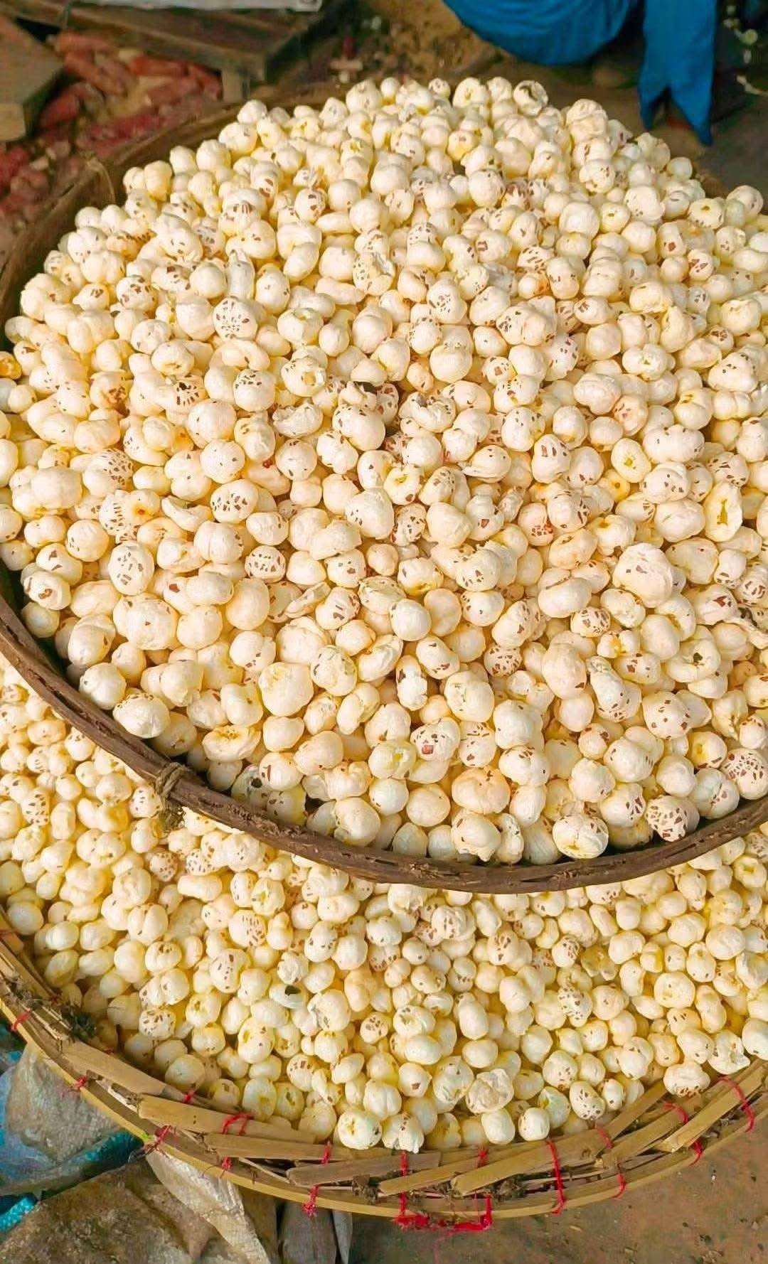Top Makhana Manufacturers in Bihar | Premium B2B Supply