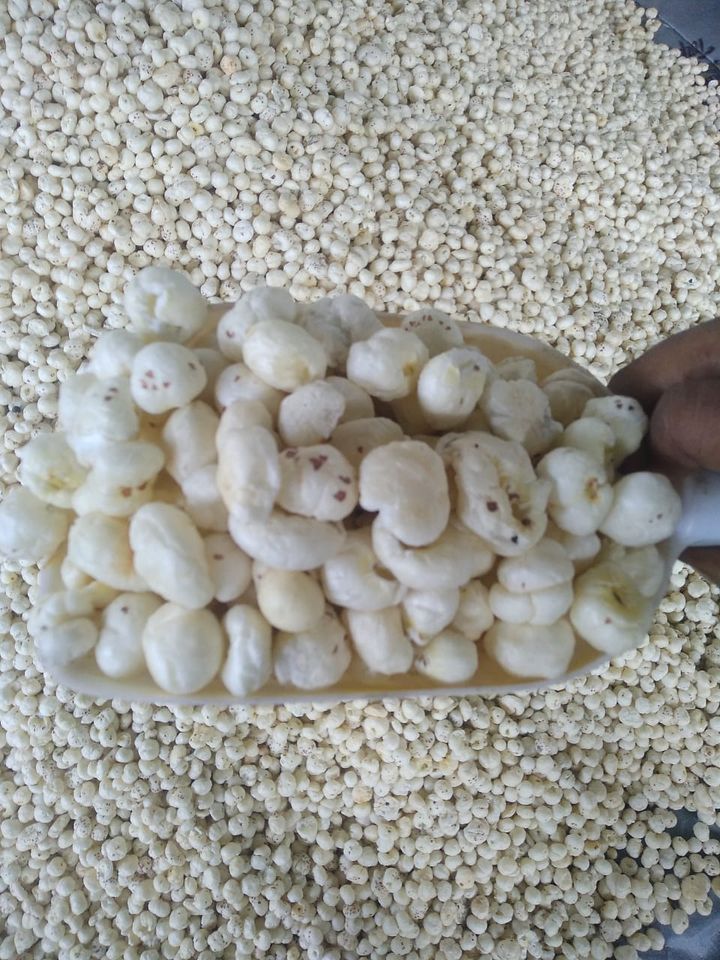 Makhana Manufacturer in Bihar